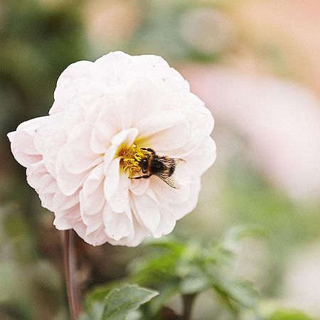 Gasthaus Hummel Duggendorf Luaran gambar