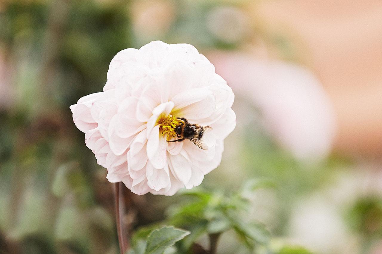 Gasthaus Hummel Duggendorf Luaran gambar